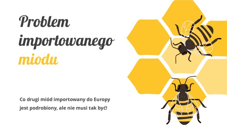Read more about the article Problem importowanego miodu