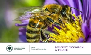 Read more about the article Zachęcamy do wzięcia udziału w badaniach naukowych i do wypełnienia