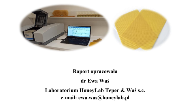 Read more about the article Raport z badania węzy