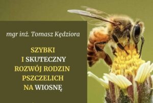 Read more about the article Szkolenie – Szybki i skuteczny rozwój rodzin pszczelich na wiosnę