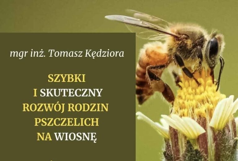 Read more about the article Szkolenie – Szybki i skuteczny rozwój rodzin pszczelich na wiosnę