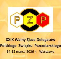 Read more about the article Podsumowanie obrad XXIX Walnego Zjazdu Delegatów PZP
